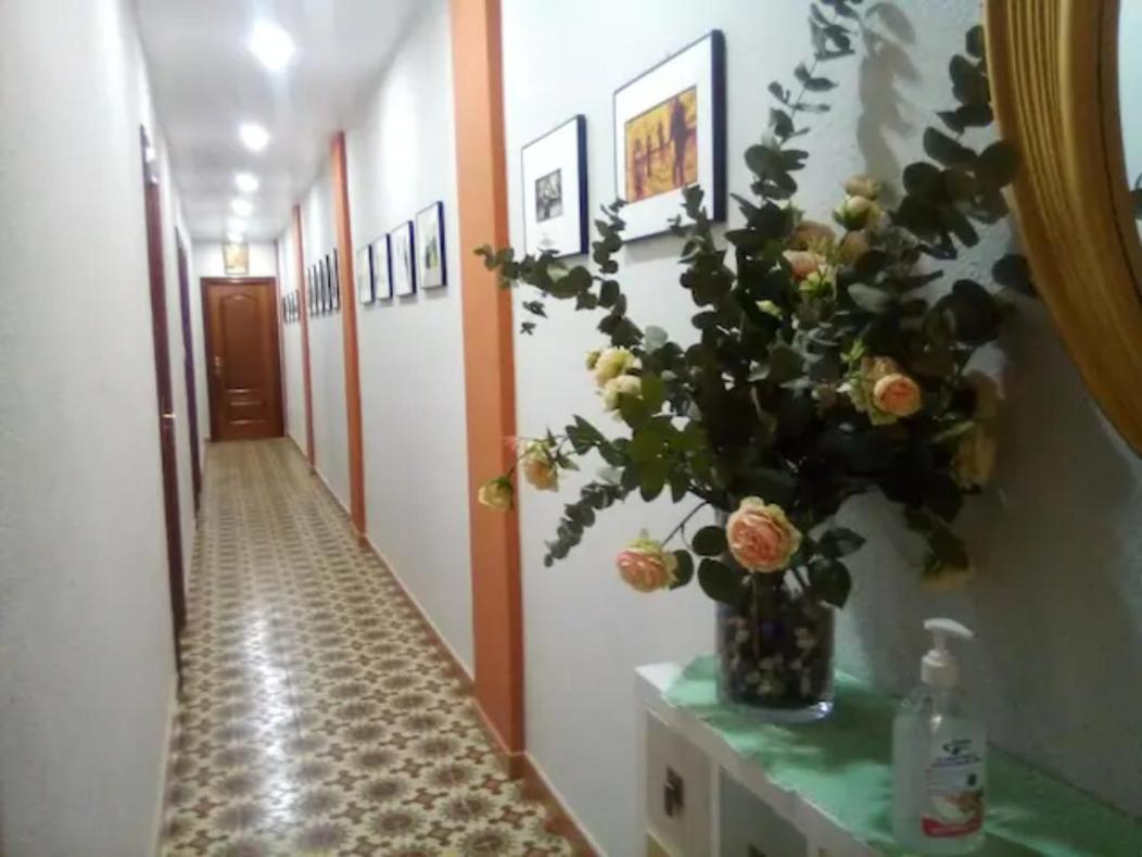 Las Golondrinas Zaragoza habitación individual Exterior foto